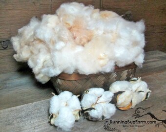 Raw Organic Cotton Spinning Fiber Red Foliated White Cotton Brown Cotton Natural Grown Hand Picked and Harvested Non GMO Cotton Fiber 1 Oz
