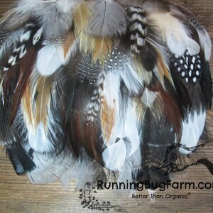 Bulk Pet Feathers 500 Assorted Flawed Feathers For Cat Toys