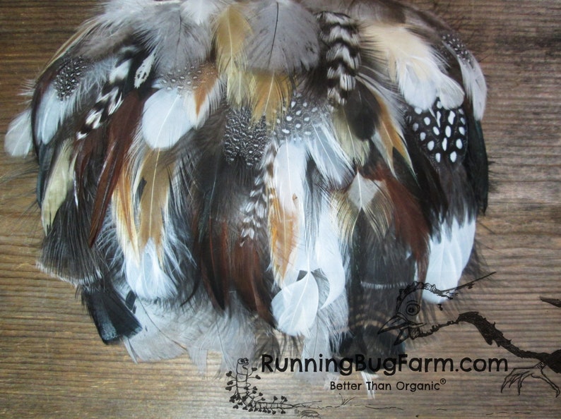 Bulk Pet Feathers 500 Assorted Flawed Feathers For Cat Toys