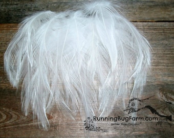 Skinny Cruelty Free White Rooster Hackle Feathers Ethical Natural Molted Feathers Loose Real Bird Feathers For Eco Crafts Qty 25 Size 3-3.5"