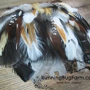 Bulk Pet Feathers 500 Assorted Flawed Feathers For Cat Toys