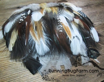 Bulk Pet Feathers 500 Assorted Flawed Feathers For Cat Toys Cruelty Free Ethical Feather Real Loose Natural Molted Damaged Mixed Plumes 2-4"