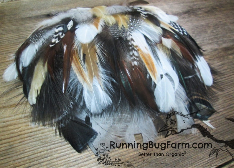 Bulk Pet Feathers 500 Assorted Flawed Feathers For Cat Toys