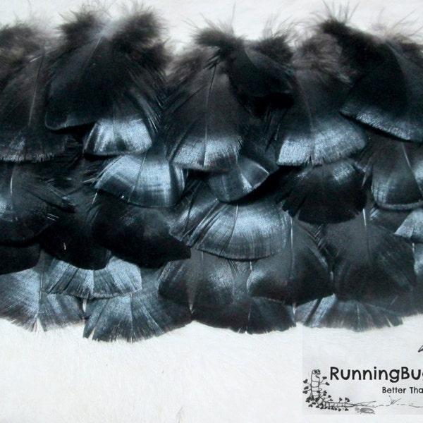 Cruelty Free Feathers Metallic Black Spanish Turkey Feathers Ethical Natural Black Plumes Real Bird Feathers For Crafts Qty 25 Size 3-3.5"