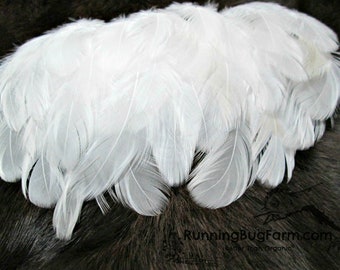 Cruelty Free Feathers White Feathers Natural Humane Loose Real Bird Feathers Ethical Feathers For Crafts Eco Friendly Qty 30 Size 1.5-2.5"