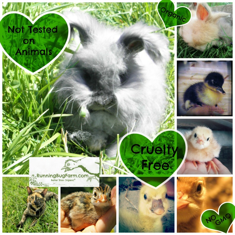 Baby farm animal collage of a English angora kit, kitten, guinea keet, duckling, chick, and baby goose. With heart text. Not tested on animals. Cruelty free. No GMO. Organic.