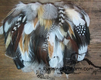 Assorted Flawed Feathers For Cat Toys Bulk Pet Feather Real Loose Natural Damaged Mixed Feather Cruelty Free Feathers Ethical Qty 60 Sz 2-4"