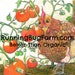 RunningBugFarm