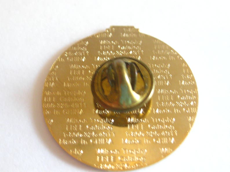 South Carolina Little League District Baseball Pin 1998 Vintage