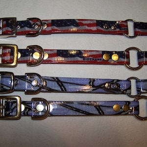 3/4&quot; wide BioThane® Dog Collar With Center Ring and Name Plate