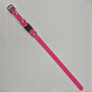 5/8" Beta BioThane Buckle Collars with Breakaway Snap for 10 to 14 inch necks, WITH silvertone D Rings