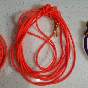 May include: A bright orange dog leash with a gold metal clip. The leash is coiled up and ready to use.