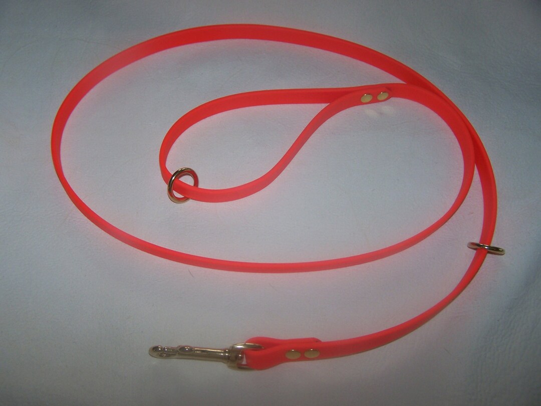Beta Biothane Dog Leash 5 Foot With 2 Extra Rings. Etsy