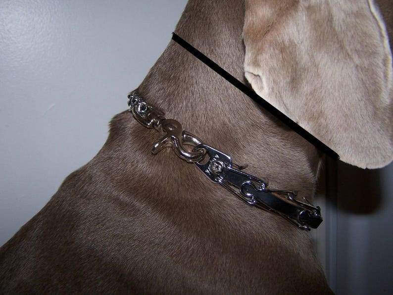 Easy Snap Prong Collar Small 2.25 mm Prongs 11 to Etsy