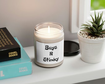 Boys R Stinky ~ Scented Soy Candle, 9oz