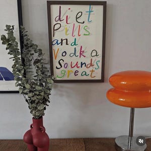 May include: A framed artwork with the text "diet Pills and Vodka Sounds great" in colorful lettering. A red vase with a unique shape holds dried greenery. An orange, retro-style lamp sits on a wooden surface.