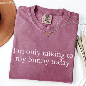 May include: A mauve Comfort Colors t-shirt with the text "I'm only talking to my bunny today" in white. A gold necklace with a pendant rests on the shirt. A brown hat and dried plant are in the background.