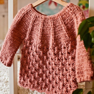 May include: A pink crocheted sweater with a textured design. The sweater has long sleeves and a round neckline.