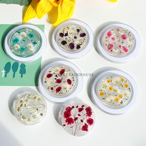 Puede incluir: Un conjunto de agarres redondos y transparentes para teléfonos con flores secas incrustadas en varios colores, incluyendo azul, morado, rojo, rosa y amarillo. Cada agarre está enmarcado en un círculo blanco. El texto "FORESTRAINHOUSE" es visible.