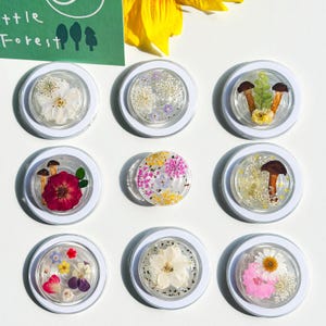 May include: Nine clear, round resin coasters with white rims, each containing different dried flowers and mushrooms. The coasters feature a variety of colours, including white, pink, yellow, and brown. The text "little forest" is visible in the upper left corner.