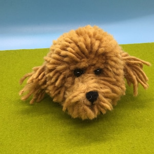 Pom Pom Tan poodle or doodle head animal guide magnet