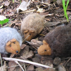 Hedgehog Sewn Wool Felt-  ships for Free in the US