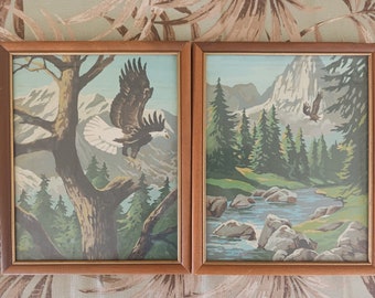 PAIR of SOARING EAGLES  Paint by Number,1960's,8 x 10,Mountains River Rocks & Forrest Sceanery,Skinny Wood Frame w/ Glass