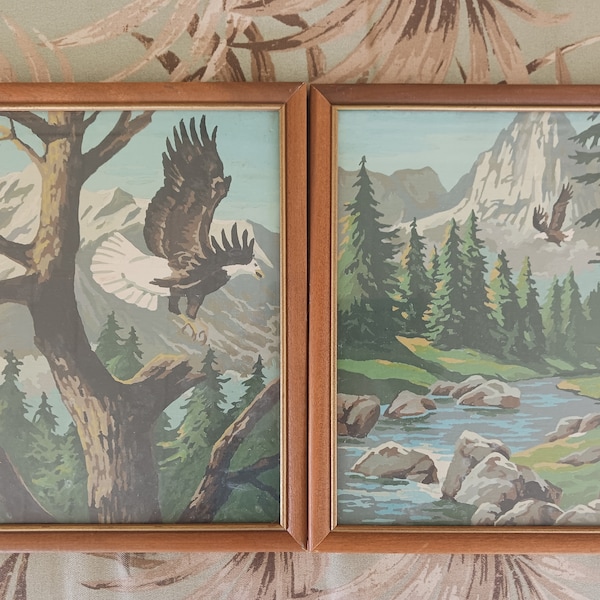 PAIR of SOARING EAGLES  Paint by Number,1960's,8 x 10,Mountains River Rocks & Forrest Sceanery,Skinny Wood Frame w/ Glass