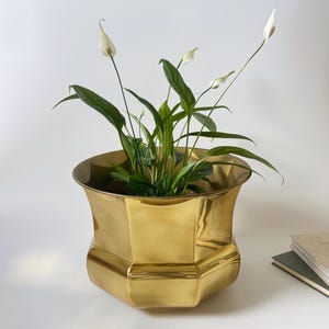 Op de afbeelding: Een gepolijste goudkleurige metalen plantenbak met een gefacetteerd, achthoekig lichaam en een brede, uitlopende rand. Een groene lepelplant met verschillende witte bloemen en lange, puntige bladeren staat in de metalen houder.