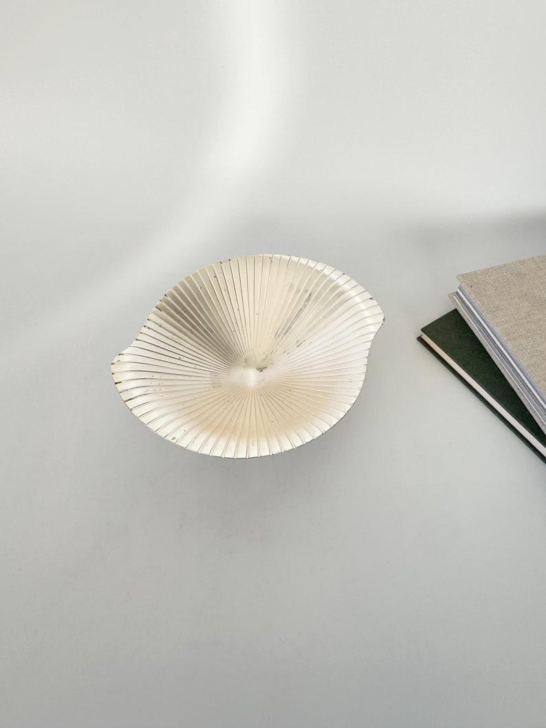 May include: A silver-colored, fan-shaped decorative bowl with a textured surface. The bowl has a central indentation and is positioned on a white surface. Two books are visible in the background.