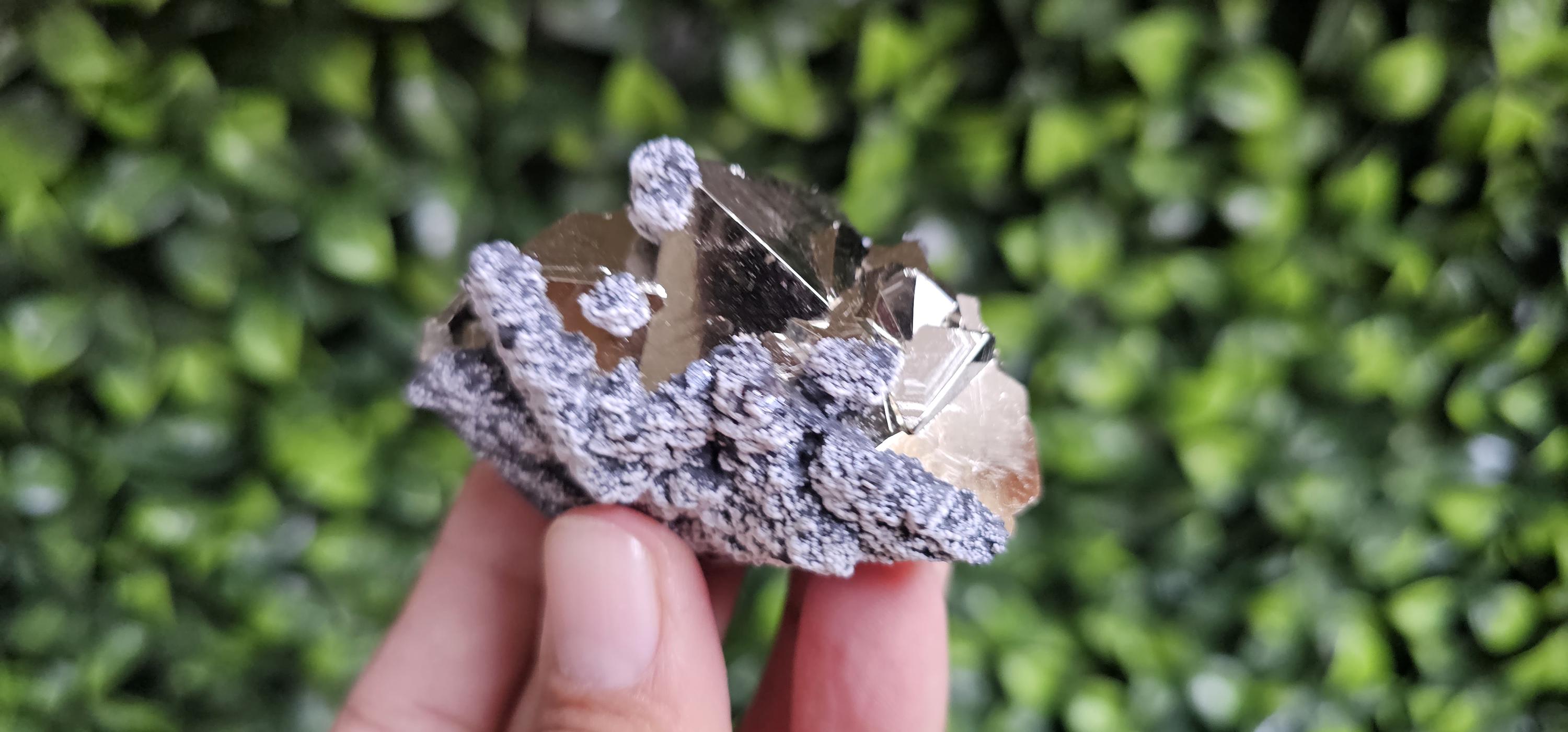 Pyrite octahedral Peru