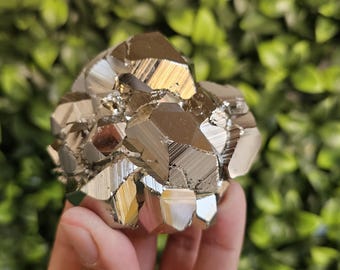 Pyrite octahedral Peru