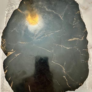 Massive Large Black Petrified Wood Fossil Unique Natural Fossilized Wood Specimen with Organic Texture Mineral Decor for Home, Garden Displa