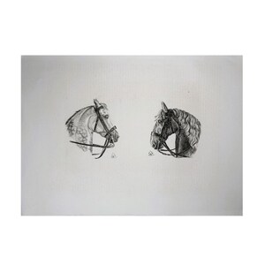 May include: A black and white pencil drawing on a plain white background featuring two horse heads facing each other. Each horse is depicted in profile, wearing a detailed bridle with reins, rendered with fine shading and textured line work.