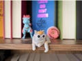 Dungeon Crawler Carl Princess Donut Figure: Cat Bookshelf Decor and Fan Gift product logo