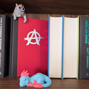 May include: A bookshelf containing books titled Dungeon Crawler Carl, Carl's Doomsday Scenario, and The Eye of the Bedlam Bride by Matt Dinniman. A red book with a white anarchy symbol sits between them, topped by a cat figurine wearing sunglasses.