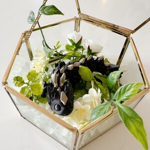 Może przedstawiać: Czarna figurka smoka z beżowymi akcentami spoczywa wśr&oacute;d białych kwiat&oacute;w i zielonych liści w geometrycznym szklanym terrarium ze złotą metalową obw&oacute;dką. Terrarium jest otwarte.