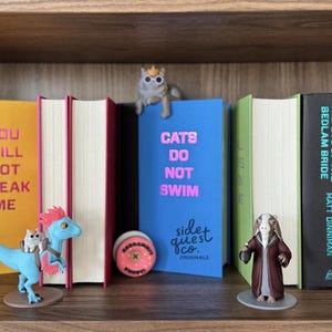 May include: A shelf displays books and figurines. The books have titles like "You Will Not Break Me" and "The Eye of the Bedlam Bride." Figurines include a cat with a crown, a blue dinosaur with a cat, and a figure in a robe. A pink and white donut-shaped object is also present.