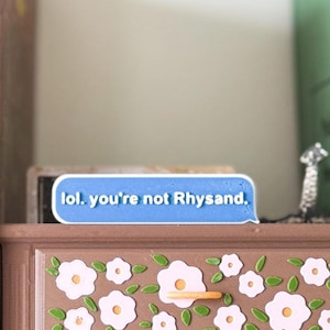 Może przedstawiać: Niebieski, ozdobny przedmiot w kształcie dymka z tekstem "lol. you're not Rhysand." leży na brązowej szufladzie ozdobionej kwiatami. Szuflada ma wzory białych kwiat&oacute;w i zielonych liści. W tle widoczny jest zielony przedmiot.