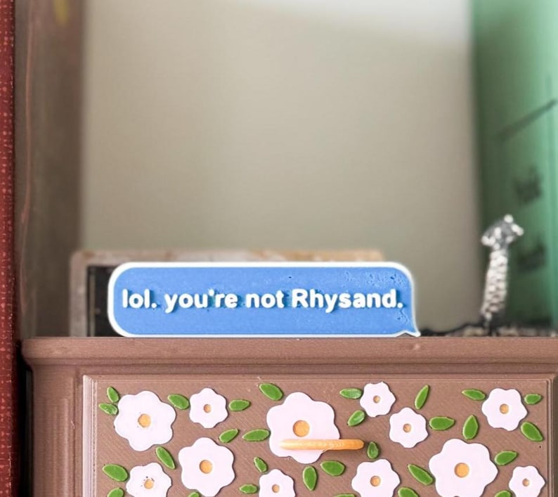 Może przedstawiać: Niebieski, ozdobny przedmiot w kształcie dymka z tekstem "lol. you're not Rhysand." leży na brązowej szufladzie ozdobionej kwiatami. Szuflada ma wzory białych kwiat&oacute;w i zielonych liści. W tle widoczny jest zielony przedmiot.