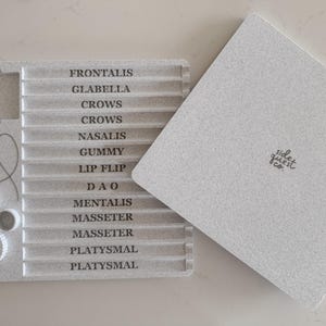 May include: A light gray, textured tray with labeled sections for facial muscles, including "FRONTALIS" and "GLABELLA." A matching lid with the text "side quest & co." is next to the tray. The tray also has a side profile illustration.