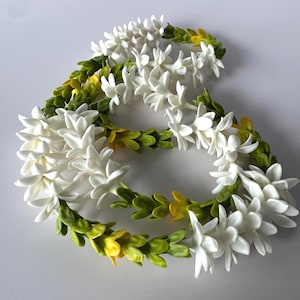 May include: A floral lei featuring white blossoms and green and yellow leaves. The lei is arranged in a circular shape, with the flowers and leaves evenly distributed around the circumference. The background is a solid white.