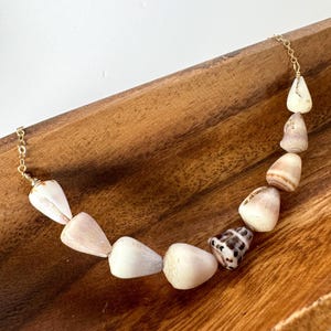 May include: A necklace featuring a series of natural seashells in shades of white, tan, and brown, strung together with a delicate gold-colored chain. The shells vary in size and shape, creating a unique, organic design. The necklace is displayed on a wooden surface.