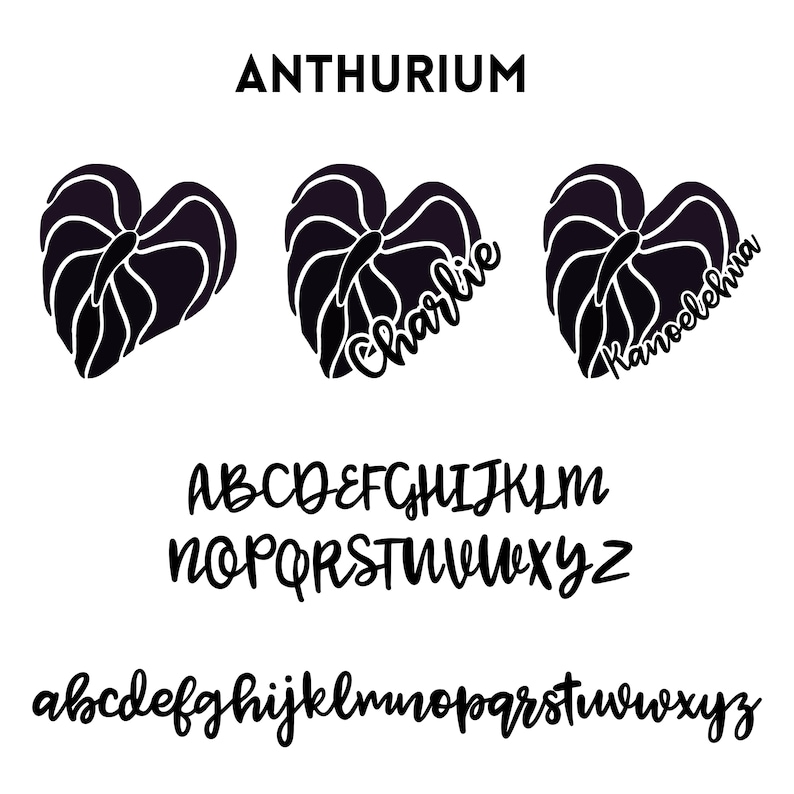 May include: Black and white graphic design featuring Anthurium flower shapes with the names "Charlie" and "Kanoelehua" in cursive. The image also includes uppercase and lowercase alphabet fonts.