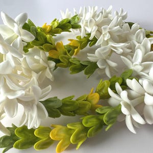 May include: Close-up of a white flower lei with green and yellow leaves. The lei is made of delicate, white flowers and vibrant green and yellow leaves, creating a natural and elegant design. The floral arrangement is perfect for a special occasion.