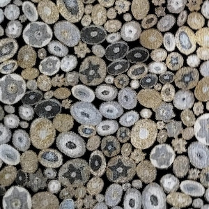May include: A black fabric with a repeating pattern of small, silver, and gold circles and ovals. The circles and ovals have a textured, embroidered look.
