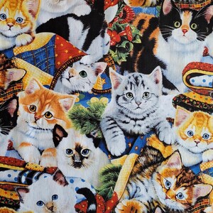 Cozy Kittens on Blue, Calico, Himalayan, Persian Kitties, 100% Cotton,  20036547, R3R5,  **By HALF Yard (BTHY)**