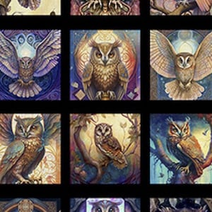 Mystic Owls Panel Magical Mysterious Owls Dramatic Gorgeous Design, 20 Blocks,30034 J, Dan Morris,QT Fabrics,100% Cotton,B2020,Sold by PANEL