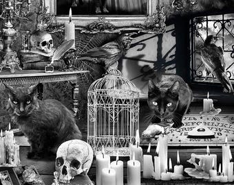 Wicked Halloween House Black Cat Ouija Board Skull Potion Candle, C7882 Timeless Treasures, 100% Cotton, 7013B, **By HALF Yard (BTHY)**