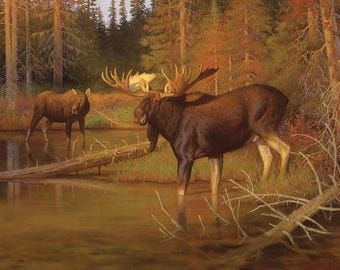 Majestic In Nature Moose Panel Autumn Fall Umber Color Moose in Dawn Stream, B2020, PD15982 Riley Blake, 36" x 43" **Sold by Panel**